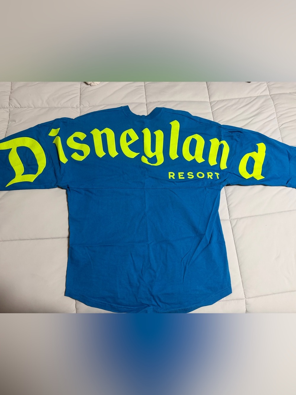 Disneyland Spirit Jersey (Small)